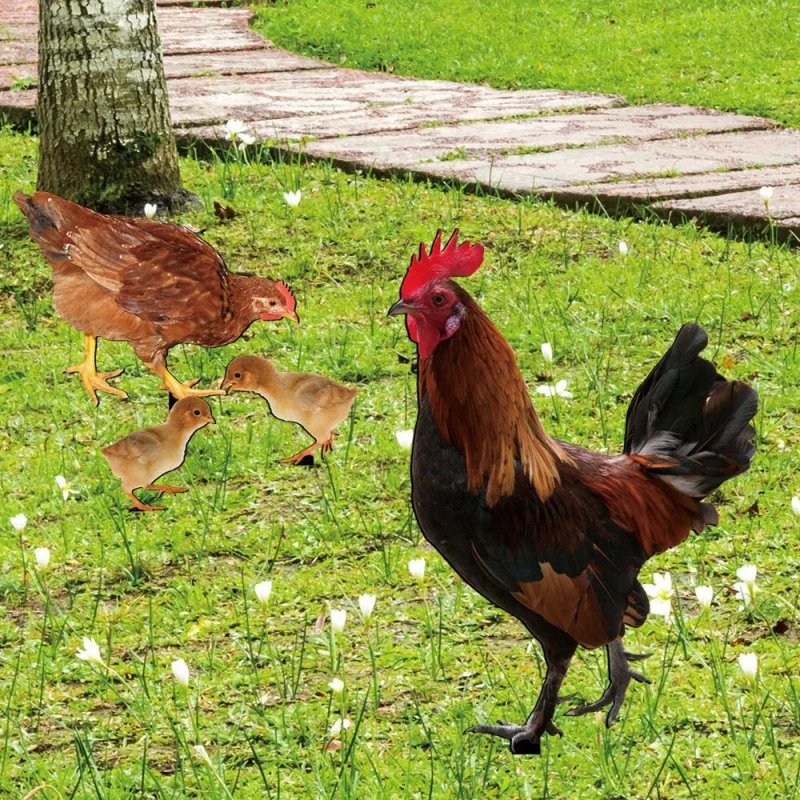 

Tyu220 Cross-Border Cock Hen Chicken Yard Floor Outlet Yard Art Garden Garden Outdoor Decoration Plug-in