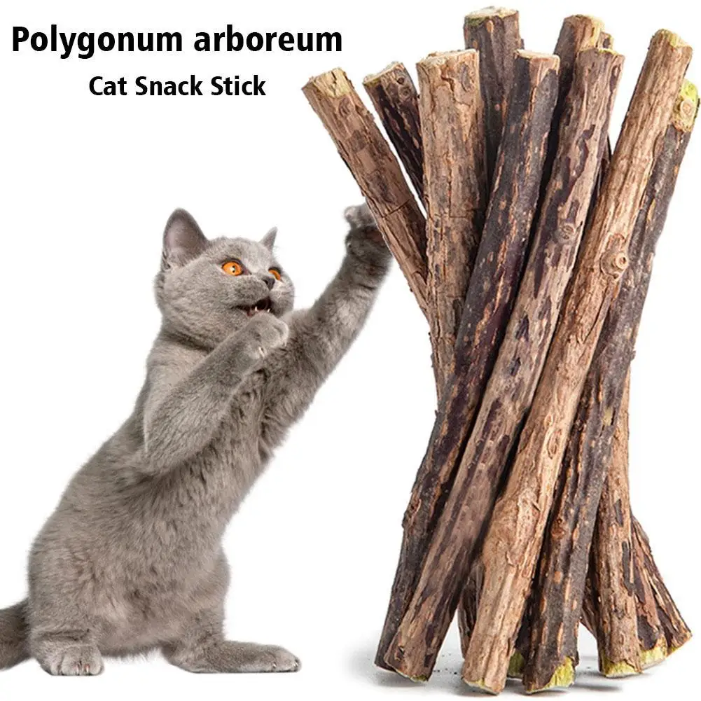 

10pcs/set Natural Matatabi Pet Cat Snacks Sticks Cleaning Tooth Catnip Cat Toys Actinidia Silvervine Pet Toy For Cats