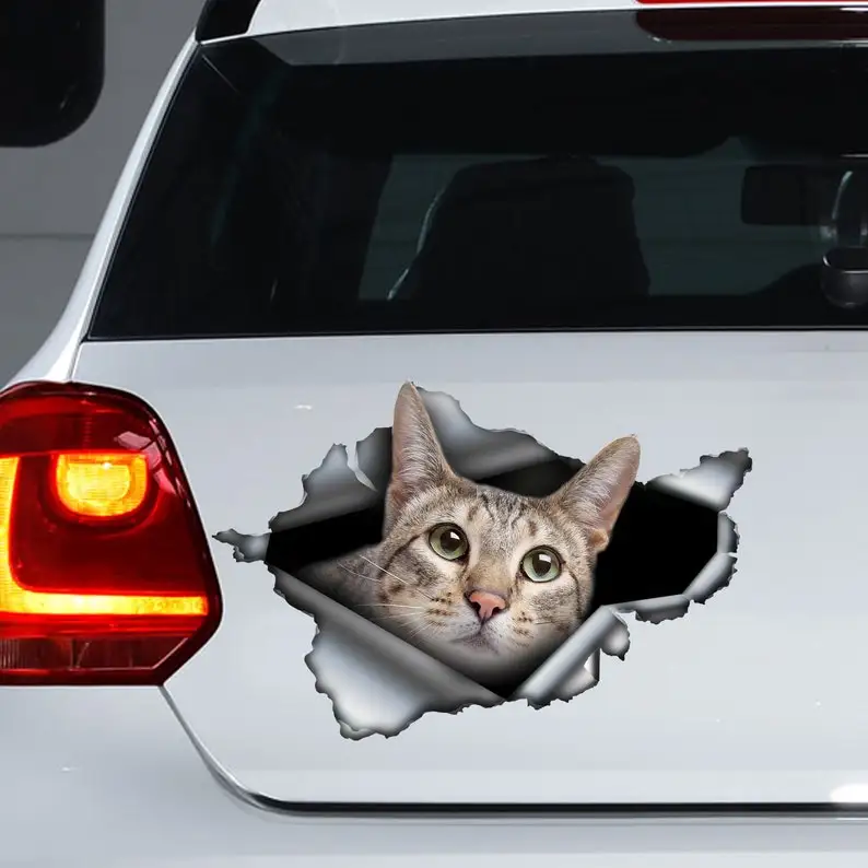 

Savannah cat car decal , Savannah cat magnet, Savannah cat sticker