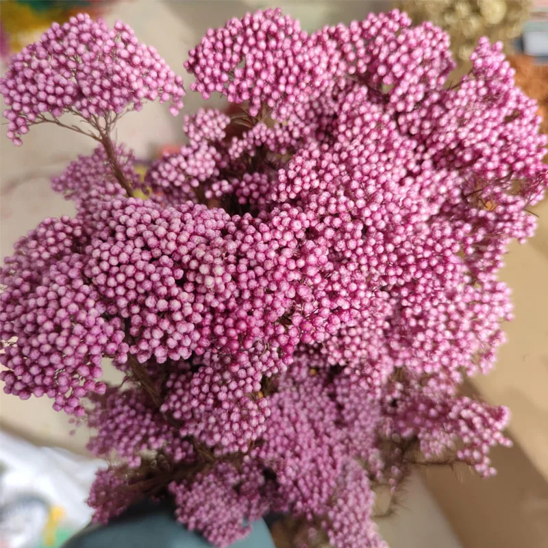 

50g Natural Millet Fruit Dried Flower Artificial Flowers Garden Decoration Outdoor Pampas Christmas Decorations For Home 2022