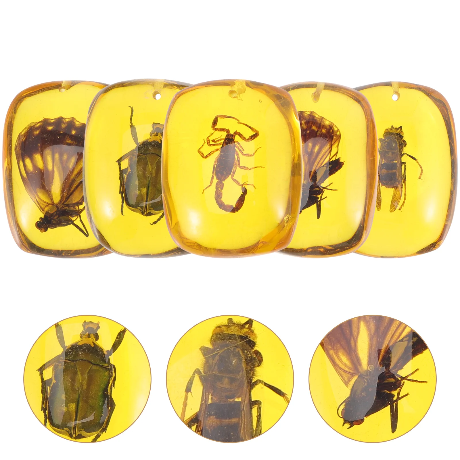 

Amber Specimen Fossil Pendant Specimens Insects Necklace Pendants Crystal Resin Fossilsbutterfly Teethingin Gemstones Bugs Diy