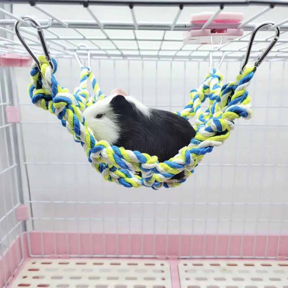 

Многофункциональная уютная игрушка-попугай, веревка для гамака, игрушка для хомяка, красочная игрушка для дома