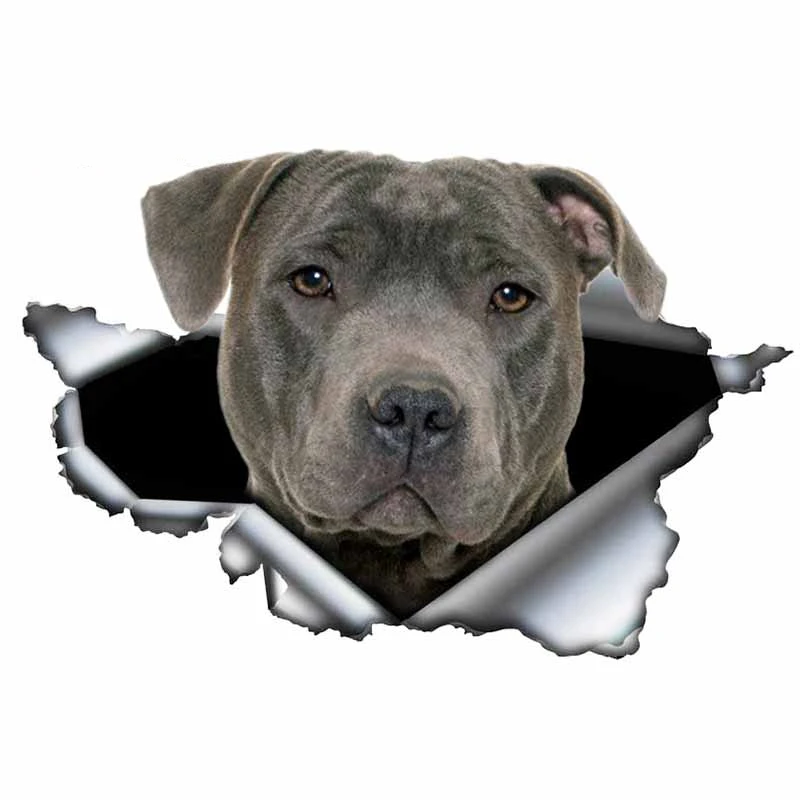 Синяя наклейка Pitbull автомобильная креативная рваная металлическая