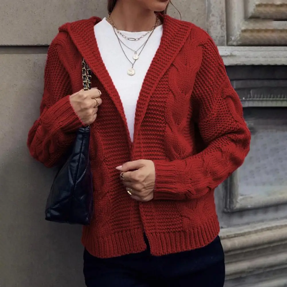 

Women's Cardigan Sweater Chunky Knit Hooded Cozy Stylish Elegant Minimalistic Long Sleeve Fall Winter Outerwear