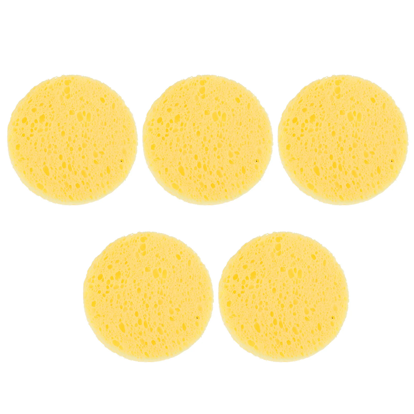 

25pcs Hermit Sponges Humidity Sponges Natural Sponge for Water Dish Natural Sponge Tank Humidity Round Water Dish Sponges