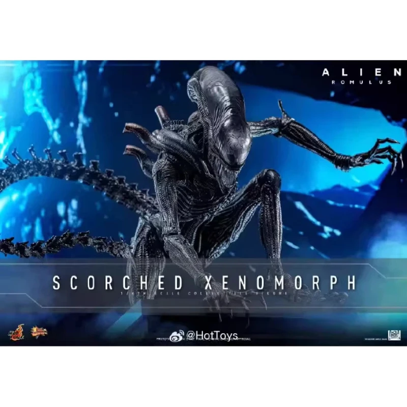 Фото Коллекционная фигурка HotToys HT 1/6 Scorched Xenomorph MMS784 Alien Romulus, подвижная модель для коллекционеров фигурок. №2