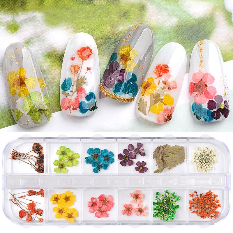 

12 Grid Dried Flower Nail Art Rhinestones Kit Multicolor Nail Art Decorations Women Nail Dried Flower Elegant Beautiful