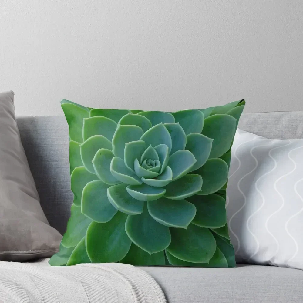 Чехлы для подушек Echeveria Coolvue рождественский принт