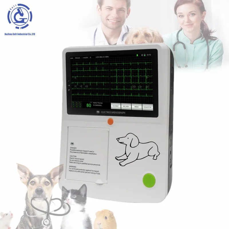 

3 channel EKG ECG cheapest printer veterinary use ECG professional animals electrocardiogram 12 lead