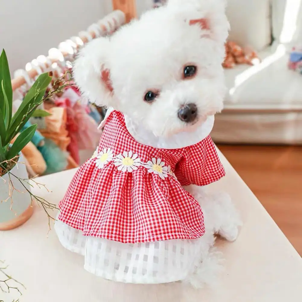 

Платье с котятами, дышащее летнее платье для щенков, одежда с двумя ногами для собак