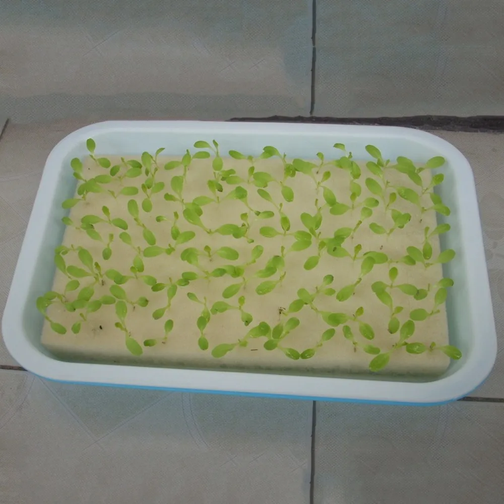 Гидропонная Магнитная детская губка 30*20 см 96 лунок оборудование для рассады