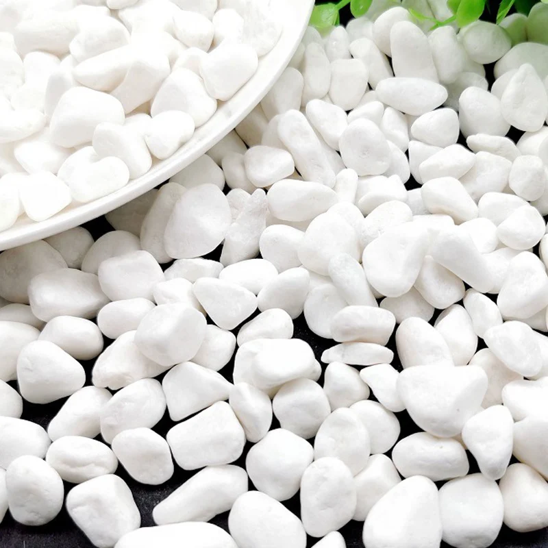 

500g White Natural Pebbles for Aquarium Decoration Stones Small Pot Plant Home Garden Decor Fish Tank Vase Plant Little Stone