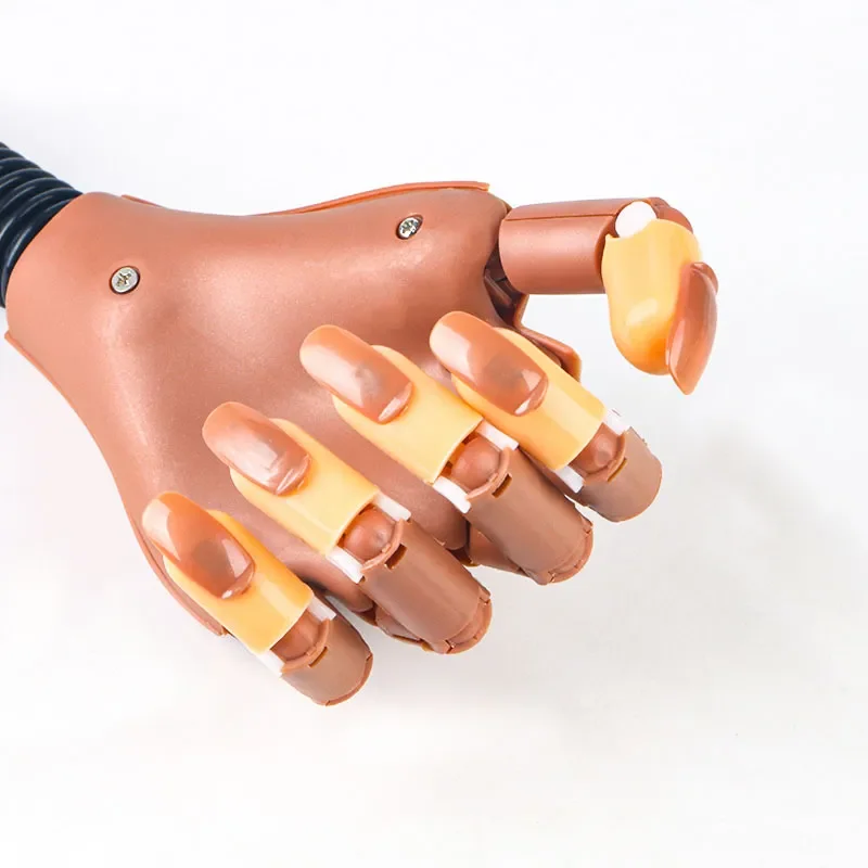 

NEW2023 Nail Joint Prosthetic Hand Flexible Prosthetic Hand Practice Manipulator Movable and Replaceable Nail Piece