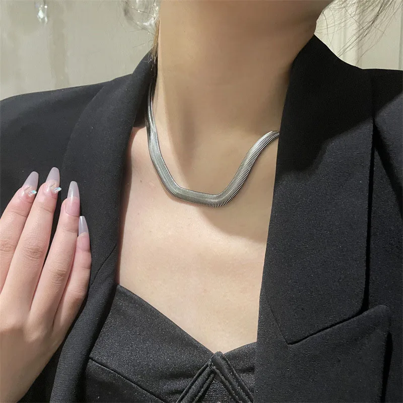 

Elegant Sweet Titanium Steel Thick Snake Chain Clavicle Necklaces For Women Men Winter Sweater Stainless Choker Collar Jewelry