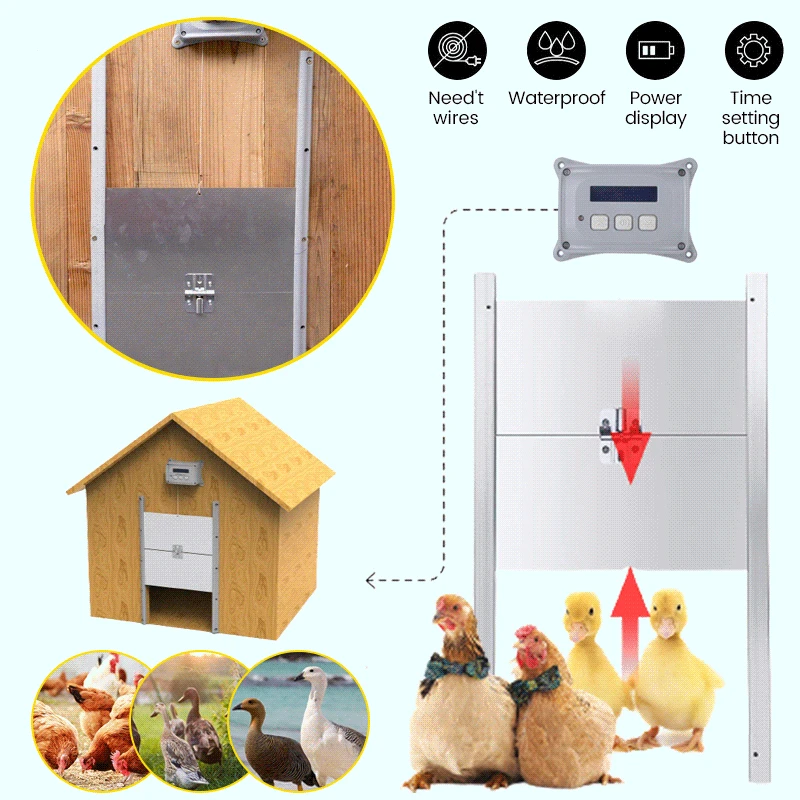 New Version Light-sensing Automatic Chicken Coop Door Home Farm Light Sensor Timing Aluminium Chicken Pet Doors Open Controller