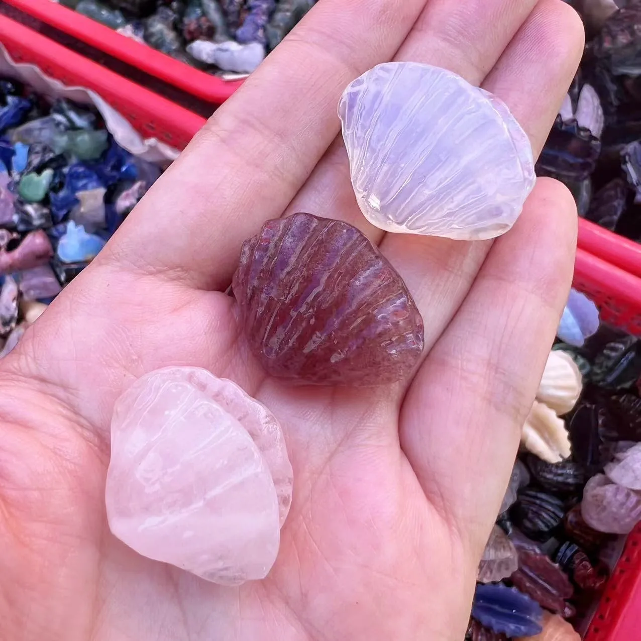 

Ракушки натуральные морские, ракушки, Пляжное украшение, ремесло «сделай сам», Морской стиль, аквариумные ракушки, ракушки, Роза + опал + золо...