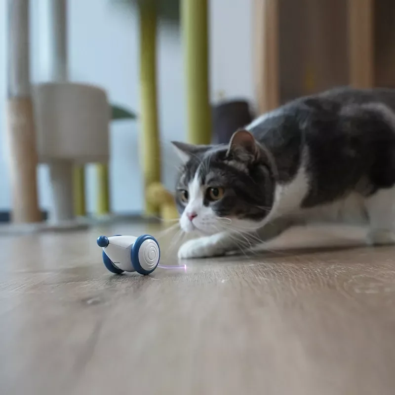 

Cheerble Wicked Mouse New Cat Toy Automatic Running Mouse Intelligent And Rechargeable with Colorful Blink Tail