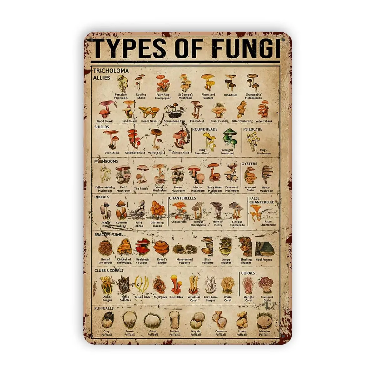 Dectinsign металлические жестяные знаки декор для стен в виде грибов знания о грибах