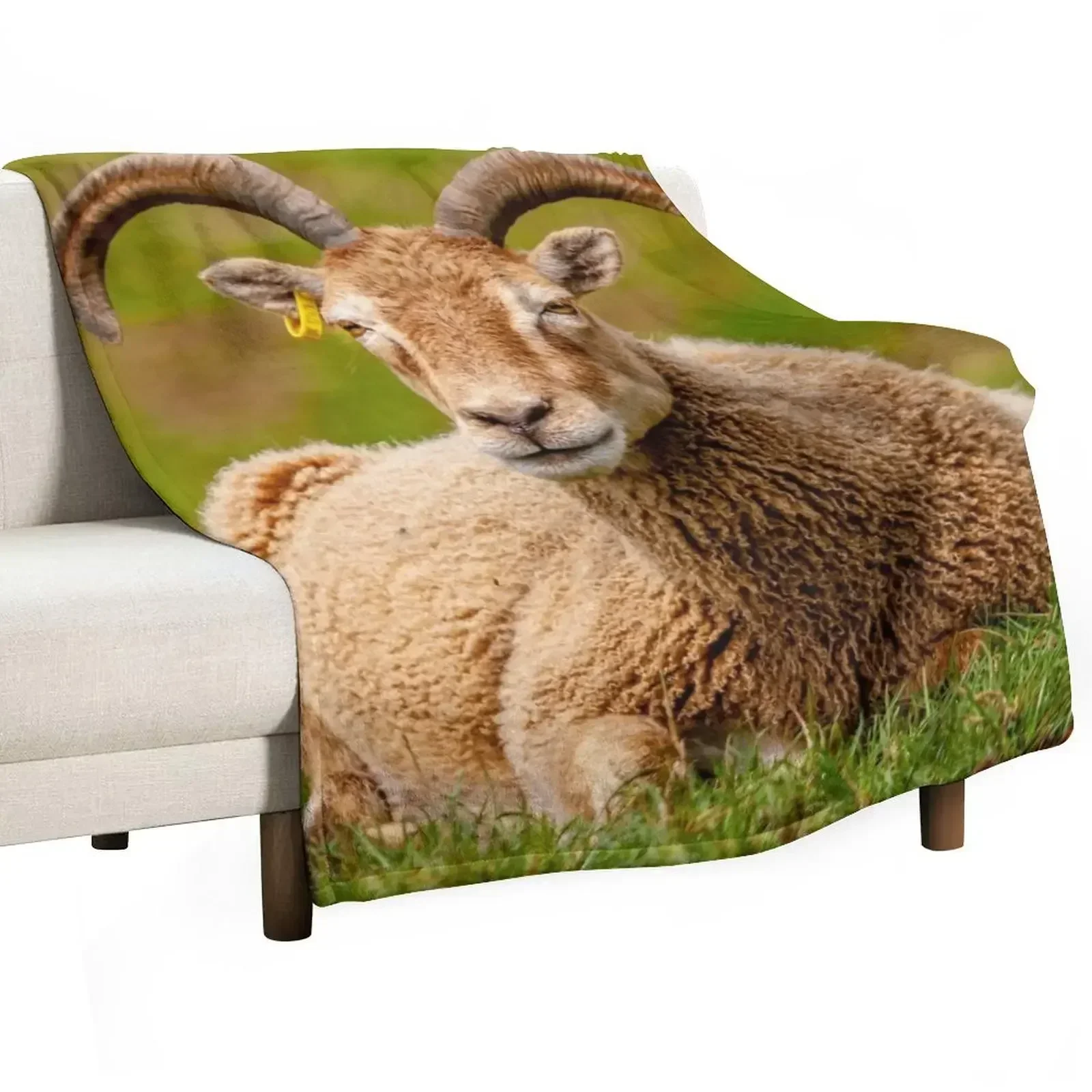 Одеяло Soay Sheep одеяла для диванов
