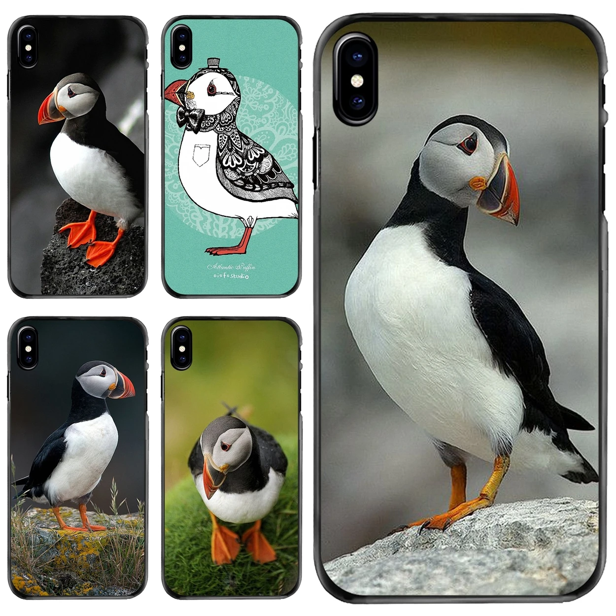 

Atlantic Puffin Faroe Islands Art For Apple iPhone 11 12 13 14 Pro MAX Mini 5 5S SE 6 6S 7 8 Plus 10 X XR XS Hard Phone Bag Case