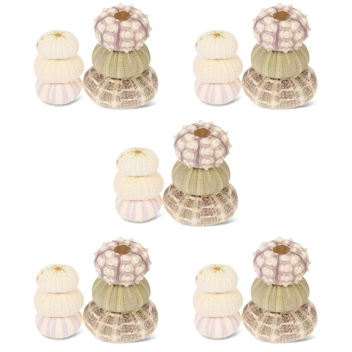 

30 Multi-function DIY Exquisite Urchin Air Pot Urchin Tabletop Decor Air Holders Unique