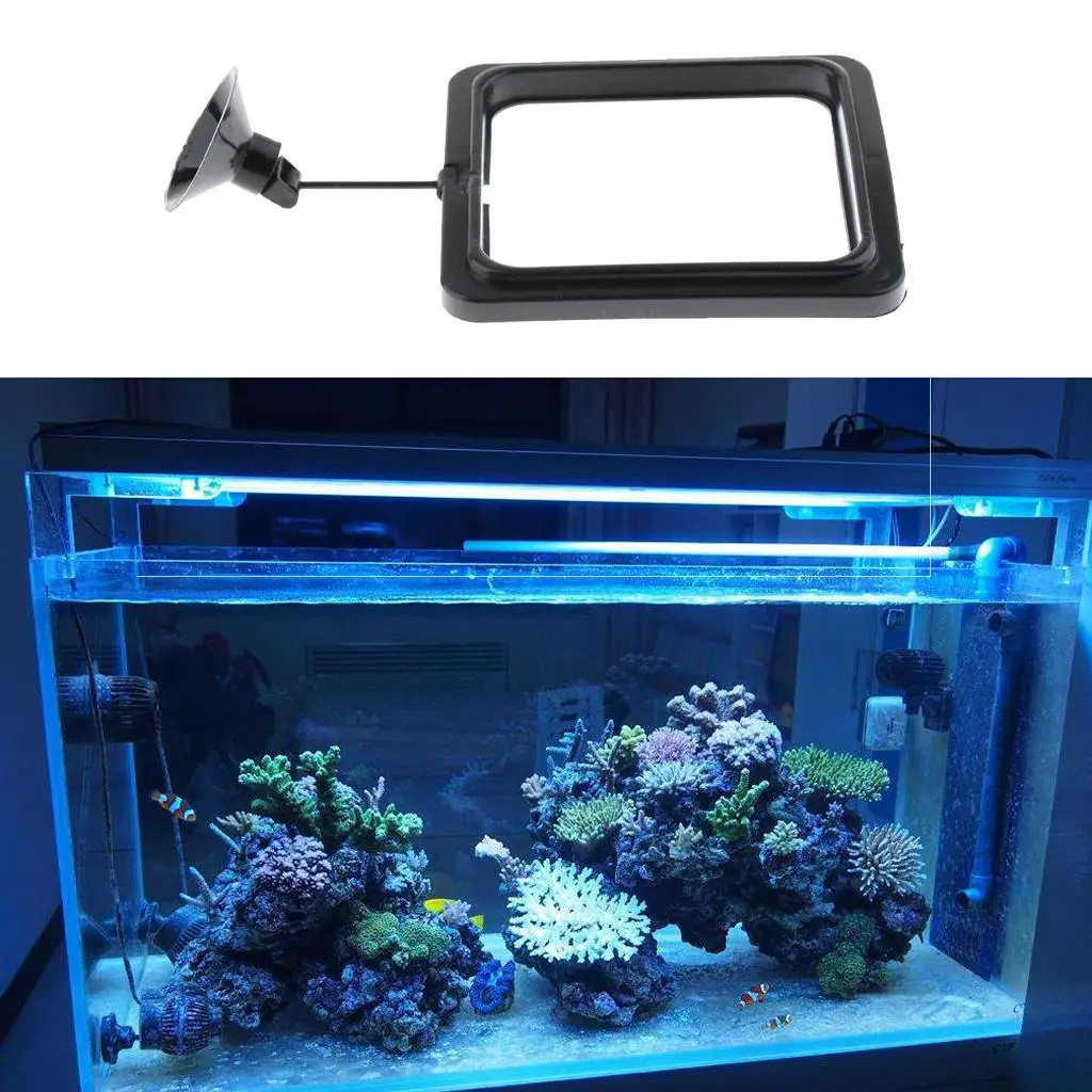 Fish Feeding,   Feeder Circle , with Suction Cup - Easy to Install Aquarium, Square Shape, for Guppy, Betta, images - 6