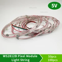 50 ledslot pre soldered ws2812b pixels 5050 rgb led module heatsink board nodes addressable individually 10cm wire