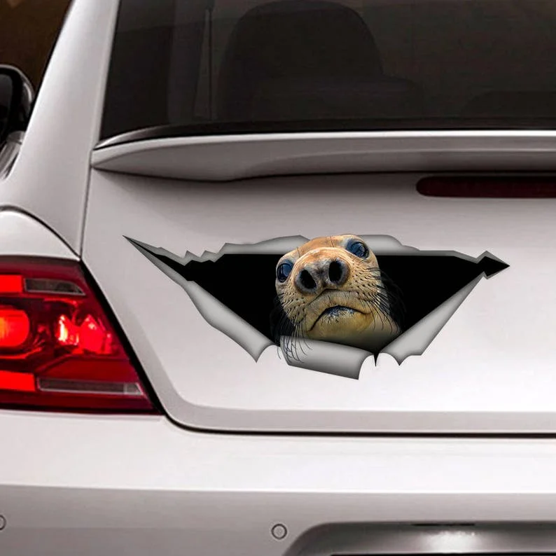 

Harbor Seal decal , Vinyl decal, Harbor sticker, funny decal, animal sticker