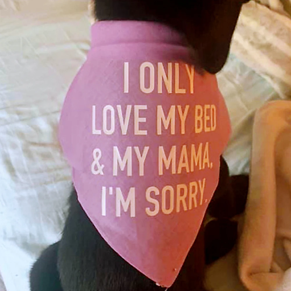 Best Bandana para cachorro, eu amo somente a cama e a mamãe, desculpe, acessório de presente para cachorro
