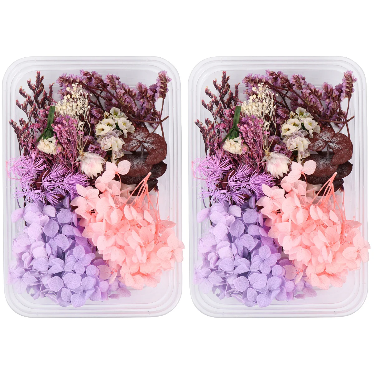 

Dried Flowersresin Molds Pressed Flower Scrapbookingadornment Aromatherapy Making Bath Stickers Bomb Supplies Nails Diy