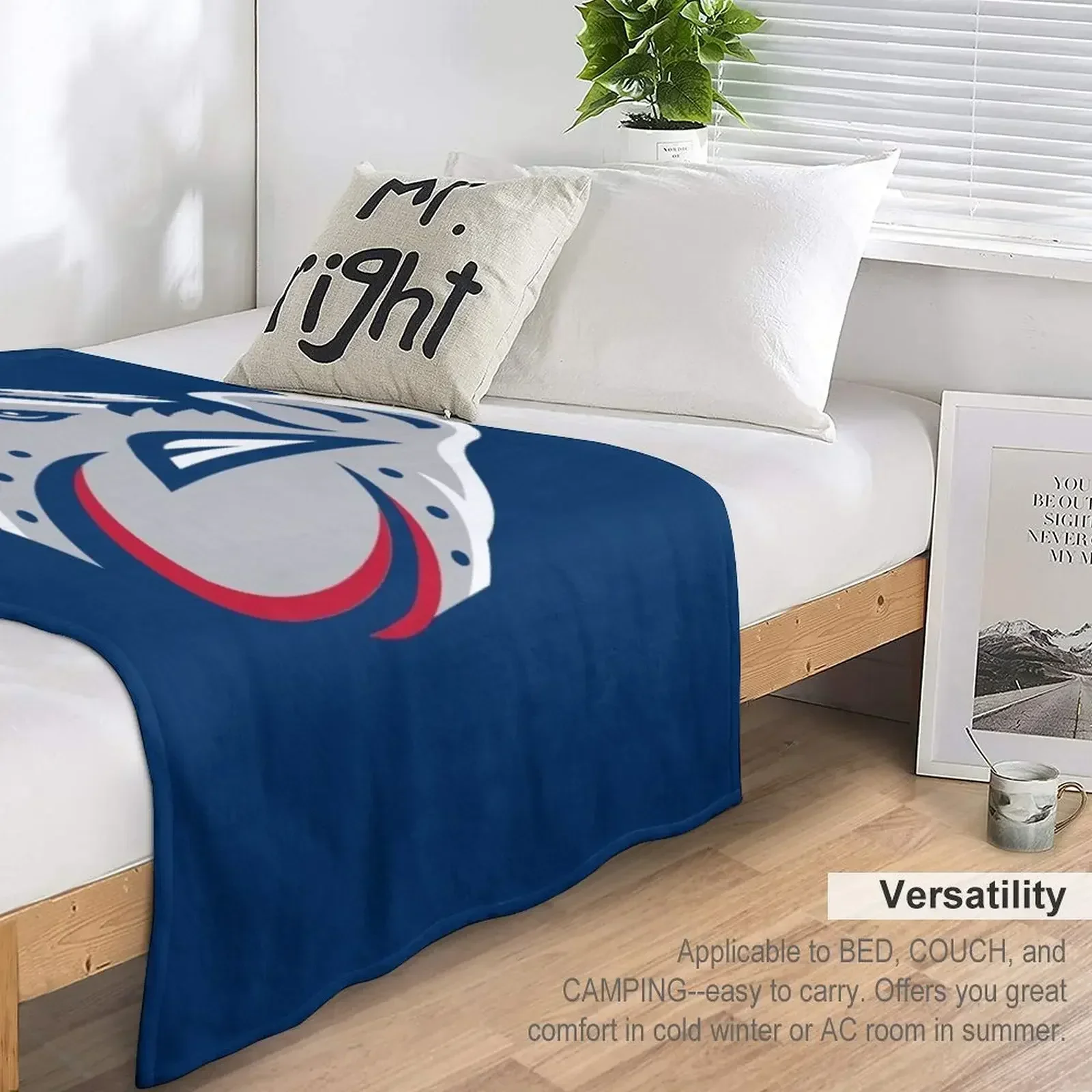 Lehigh Valley IronPigs пледы гигантский диван теплые фланелевые очень большие