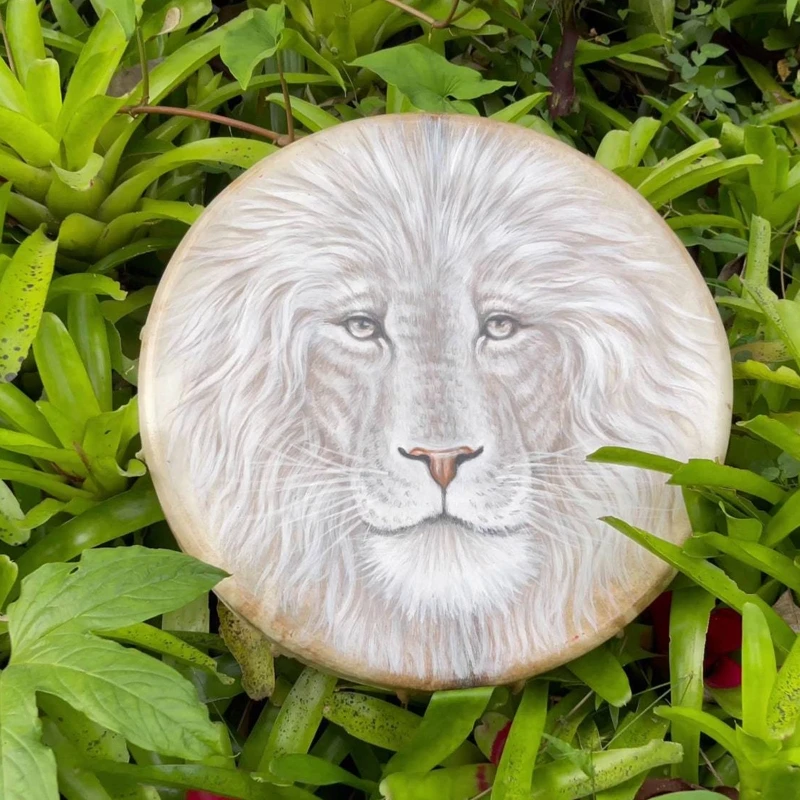 Шаманский Барабан Лев Эфирный Дизайн Барабана Сибирский Дух Музыкальные