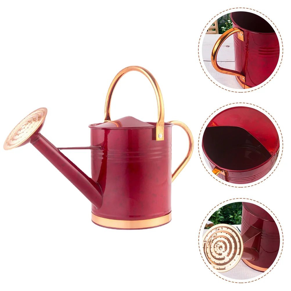 

Plant Iron Watering Pot Durable Watering Can Large Capacity Water Sprinkler