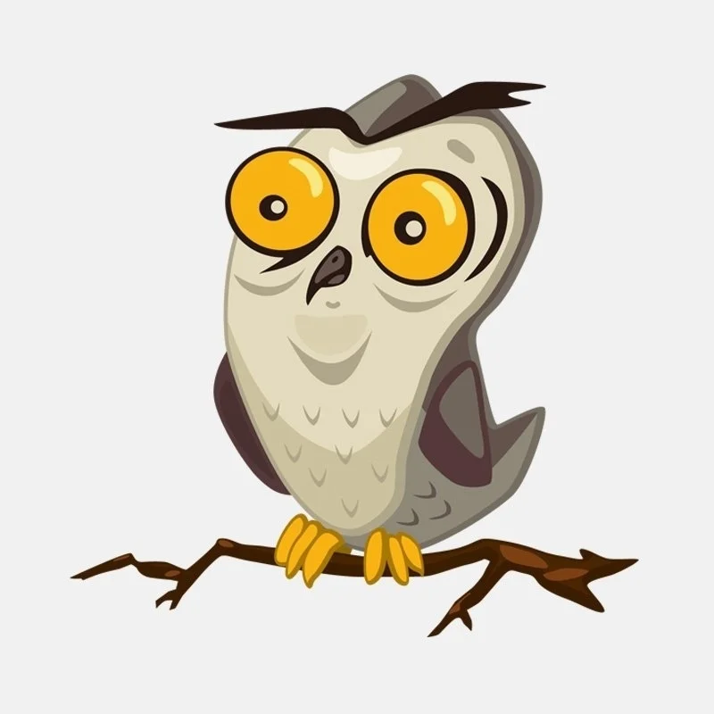 

Creative Cartoon Owl on The High Quality Bumper Trunk Laptop Rear Windshield Waterproof Car Sticker Cover Scratches PVC13x13cm
