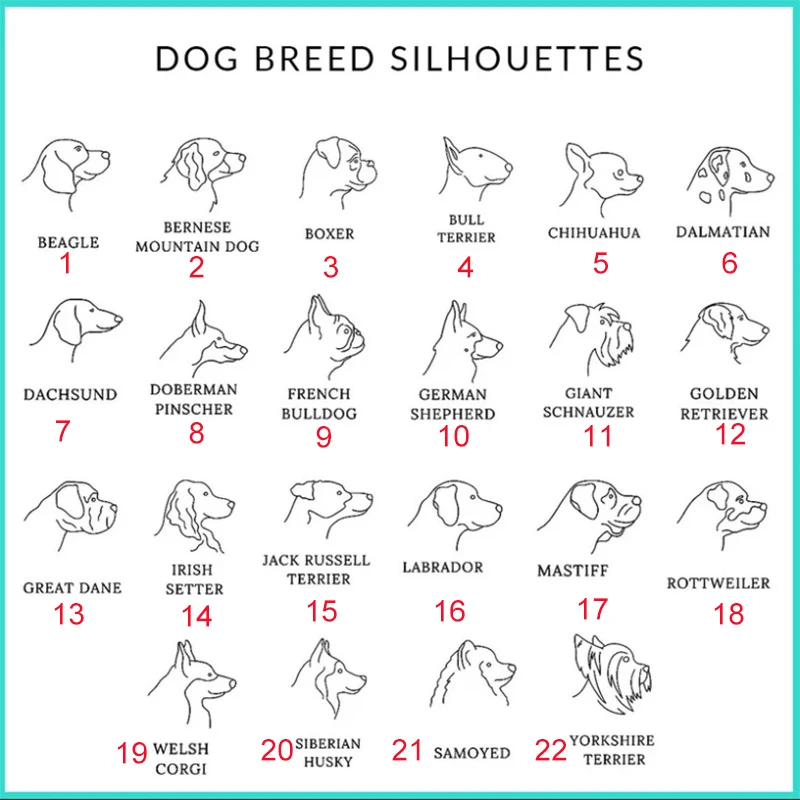 Оригинальный портрет для домашних питомцев ожерельлье мам и девушек