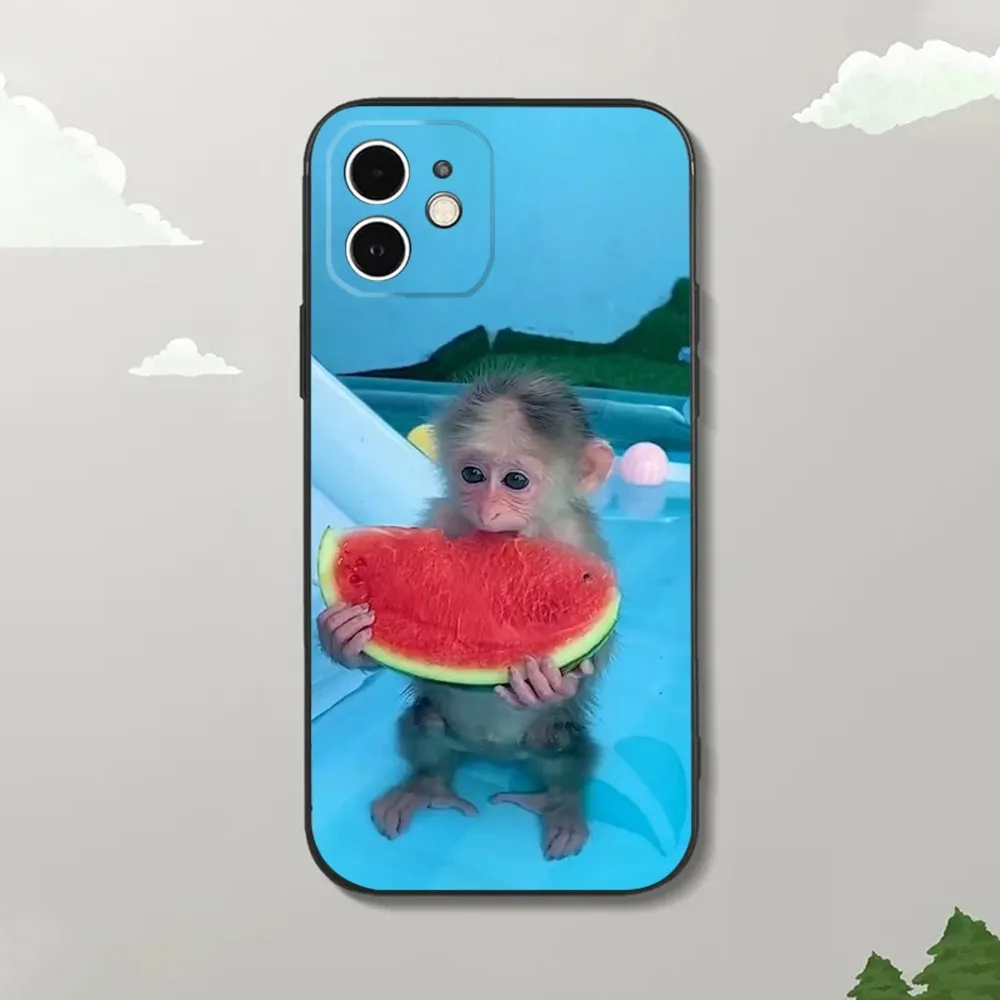 Силиконовый чехол для iPhone16 15 14 13 12 Mini 11 Pro XR X XS MAX 7 8 Plus