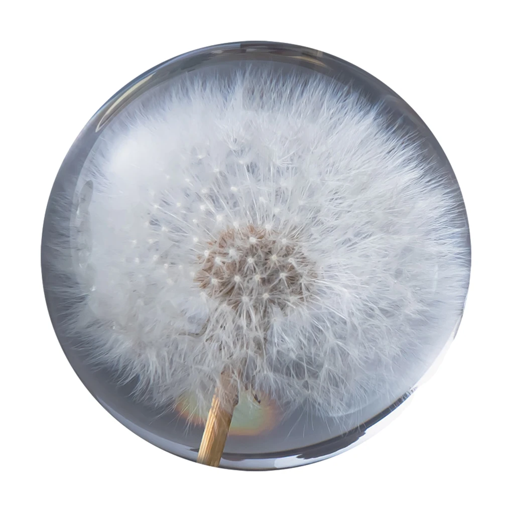 

Dandelions Crystal Ball Unique Style Resin Materials Crystal Dandelions Ball Figurine Exquisite