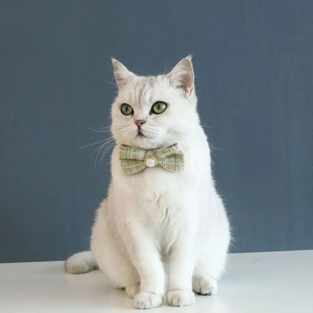 

Bowknot Dog Collar Woven Cat Pearl Plaid Collar Cotton Anti suffocation Cat Plaid Necklace Adjustable Pet Accessories