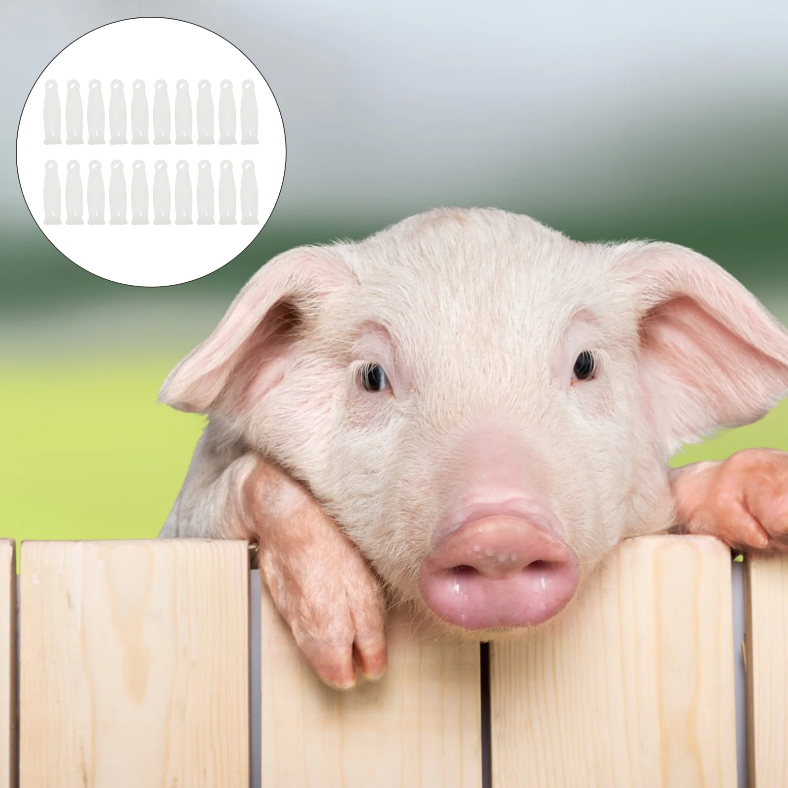 

Umbilical Cord Clampsclip Clamp Newborn Puppies Whelping Babies Household Sheep Convenient Supplylivestock