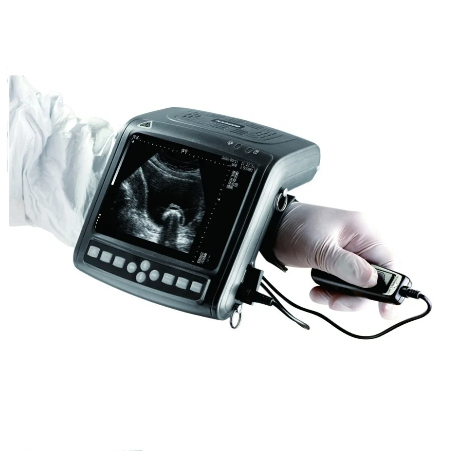 

medical veterinary portable ultrasound