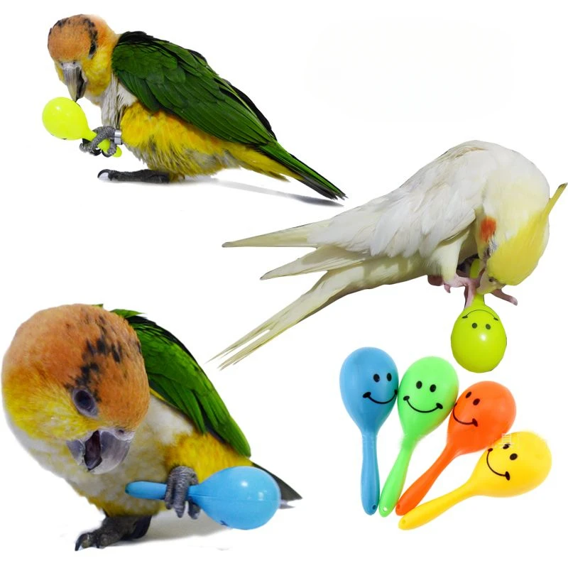 

Three Small Sand Hammer Toys Parrots Gnawing At Their Feet Colorful Puzzle Interactive Training Colorful Teeth Grinding Toys