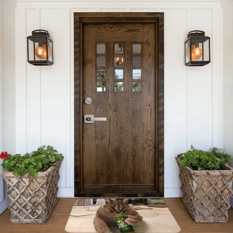 Большой Floppa Meme передняя дверь напольные входные коврики уличный забавный