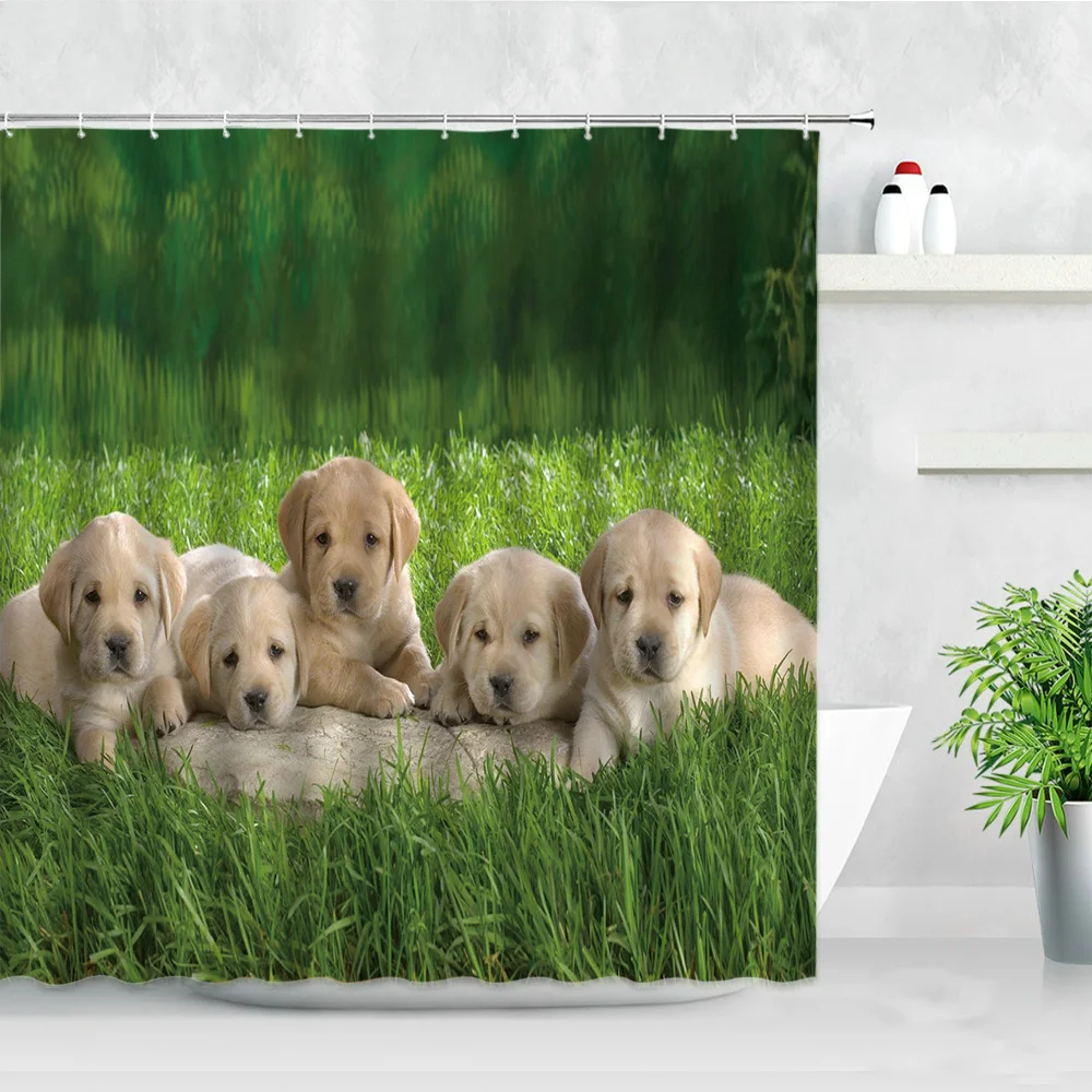 

Curtains Black Funny Animals French Bulldog Pattern 3D Print White Home Bathroom Decor Hook Bath Curtain Set Cute Cat Dog Shower