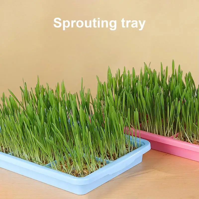 Лоток для проростков рассады усовершенствованная гидропонная технология лоток