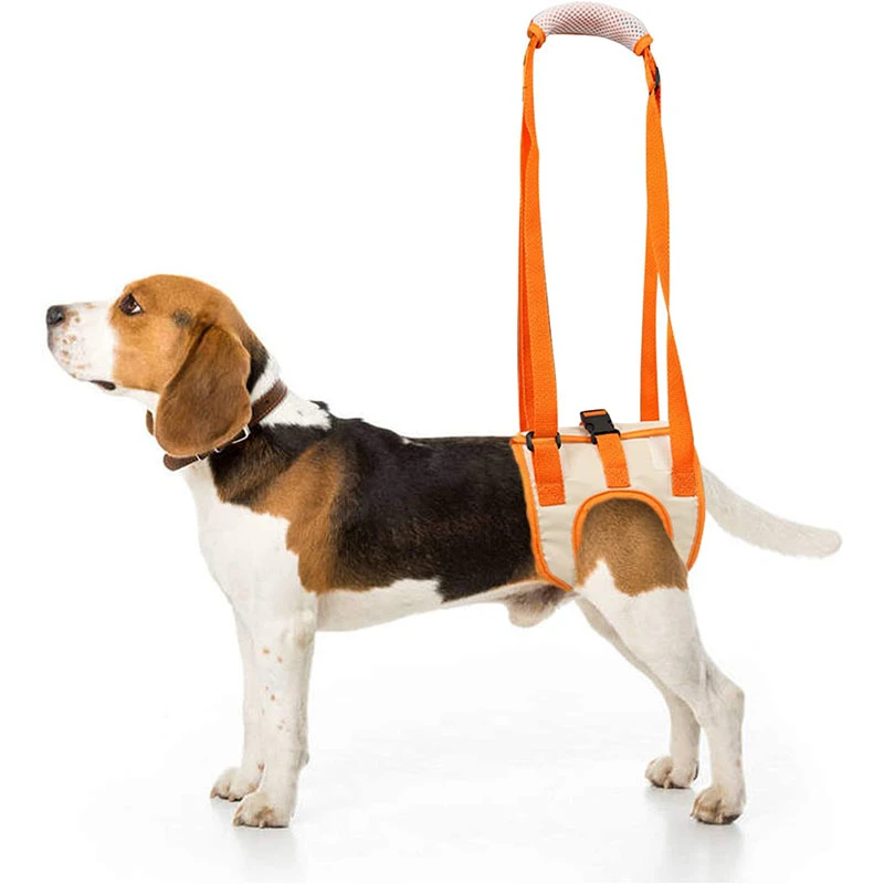 

Aid Pet Adjustable Ligament Lift For Canine Back Legs Harness Support Hip And Accessories Dog Dog Rehabilitation Sling