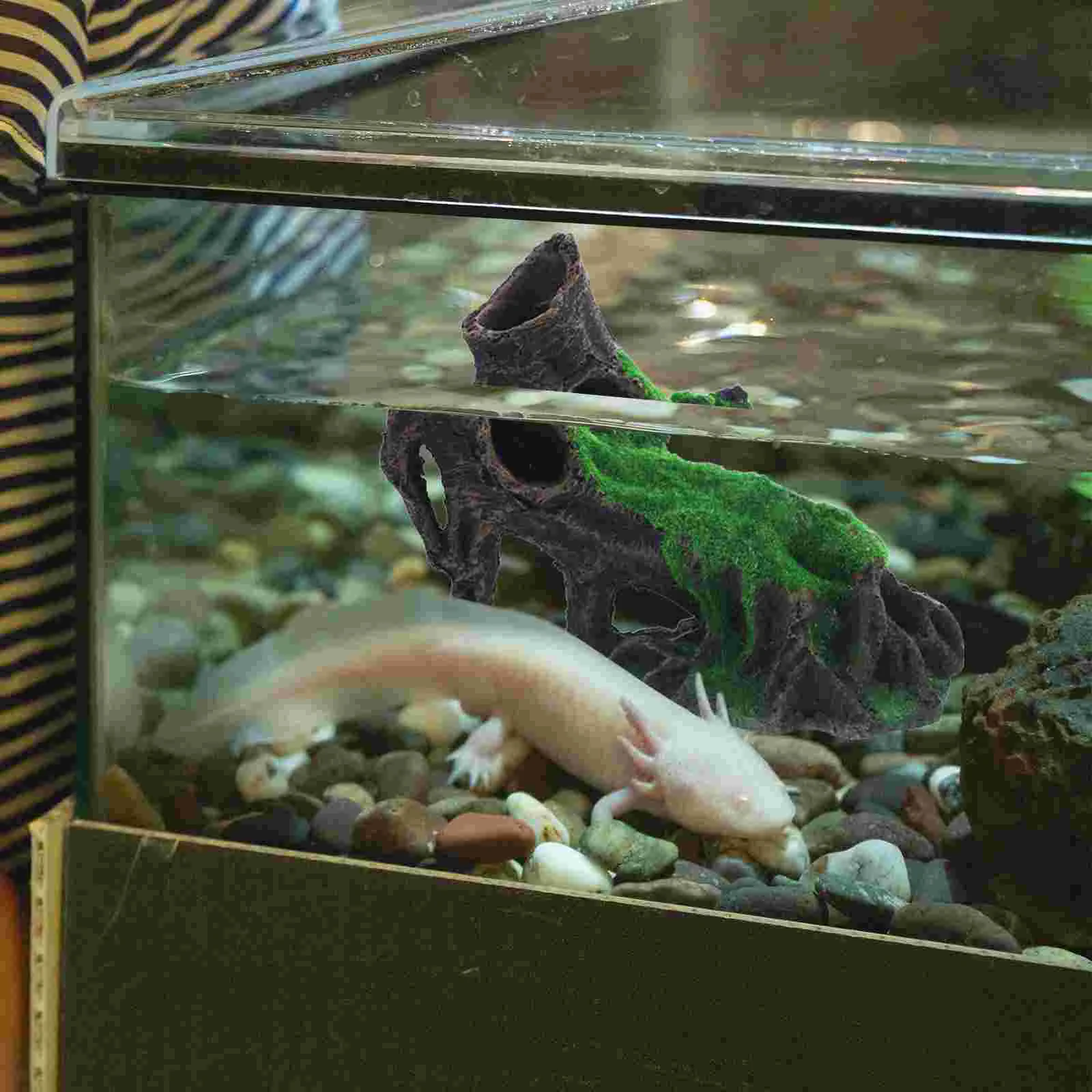 Ветка ландшафтного дизайна украшения настольный аквариум небольшой компактное