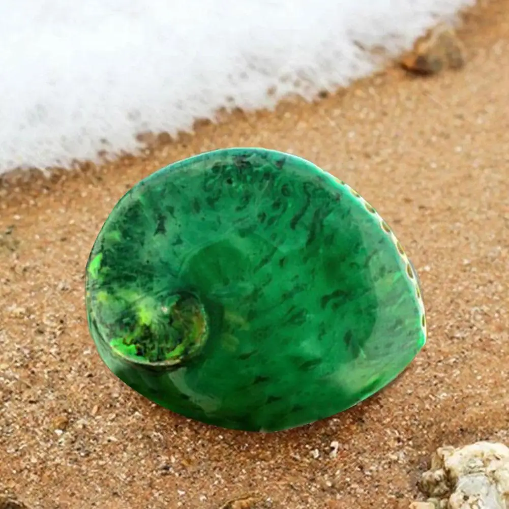 

Зеленый Абалон домашний Декор Морской Аквариум Ландшафтный Свадебный натуральный Пляж домашний декор S полированное украшение Co X6v0