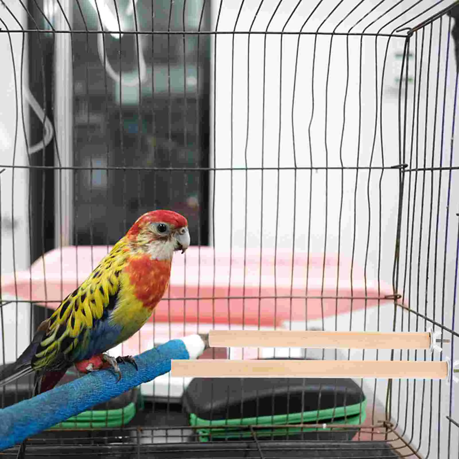 4 шт. подставка для попугая клетка птиц лестница окуня запасные части курицы