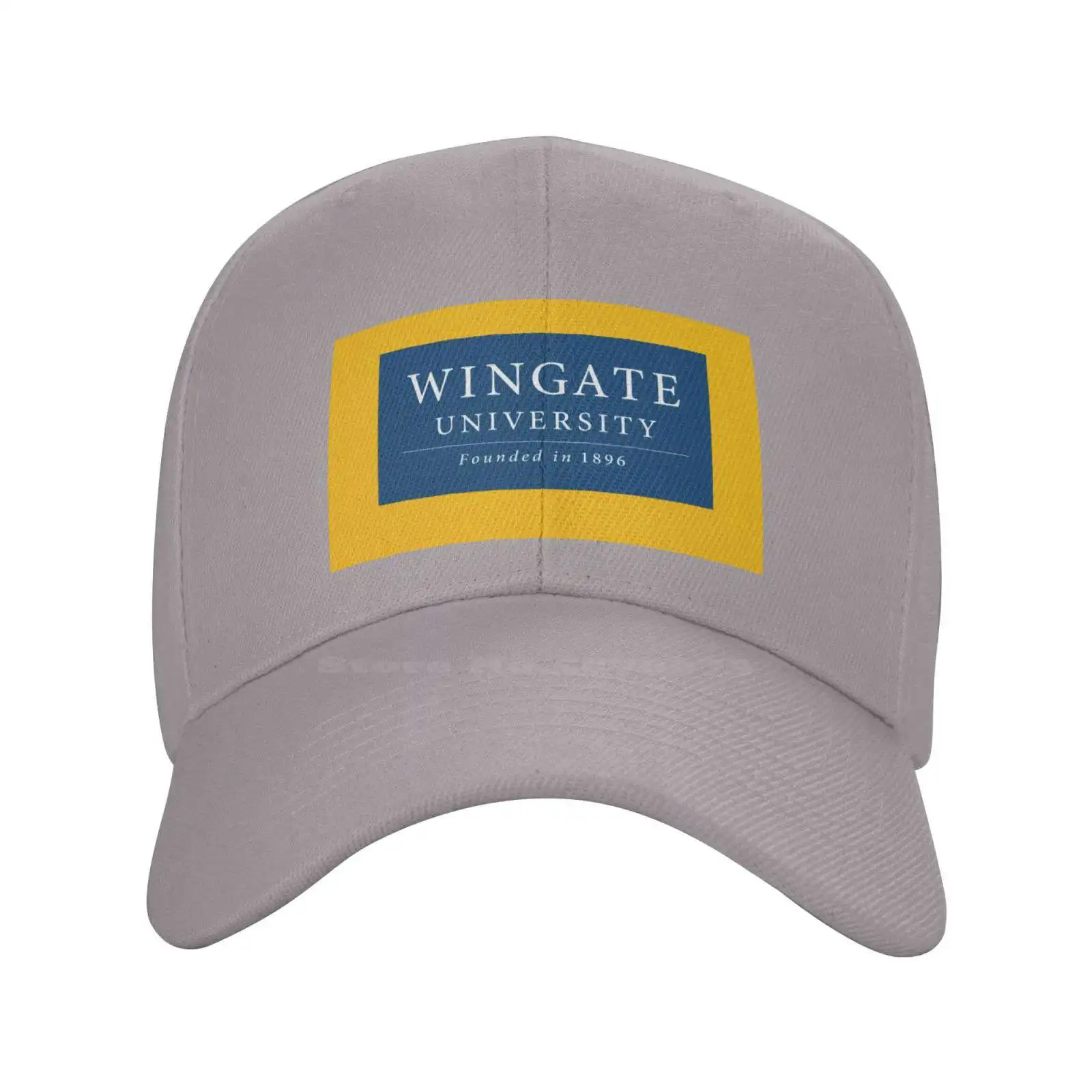 

Повседневная джинсовая бейсболка Wingate с принтом логотипа университета