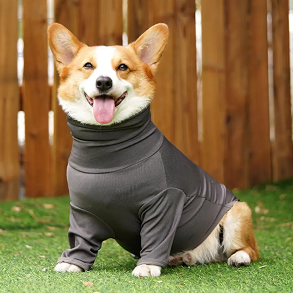 

Pet Jumpsuit Pretty Breathable Super Soft Washable Pet Dog Jumpsuit Outdoor Supplies